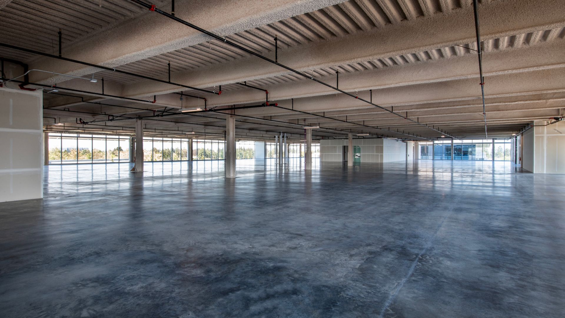 DNA Restoring Concrete